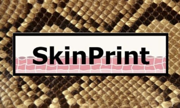 SkinPrint propose l'impression 3D des tissus de la peau